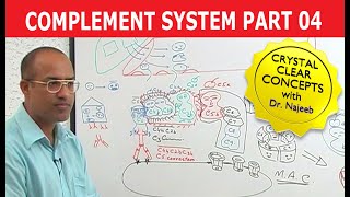 Complement System | Immunology | Part 4/18