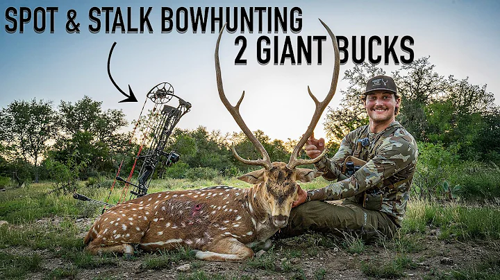 BOWHUNTING GIANT AXIS DEER in the RUT (WE GOT CHARGED)