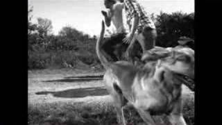 Pull Tiger Tail - Making of Hurricanes Video