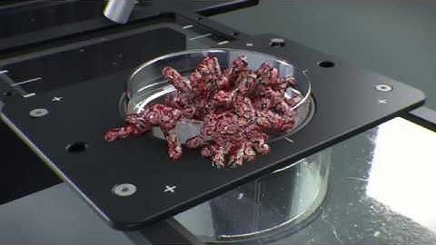 U-Render: next test real-time shots in C4D