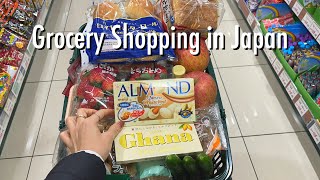 Grocery Shopping Trips in Japan  Summary of Early December Shopping