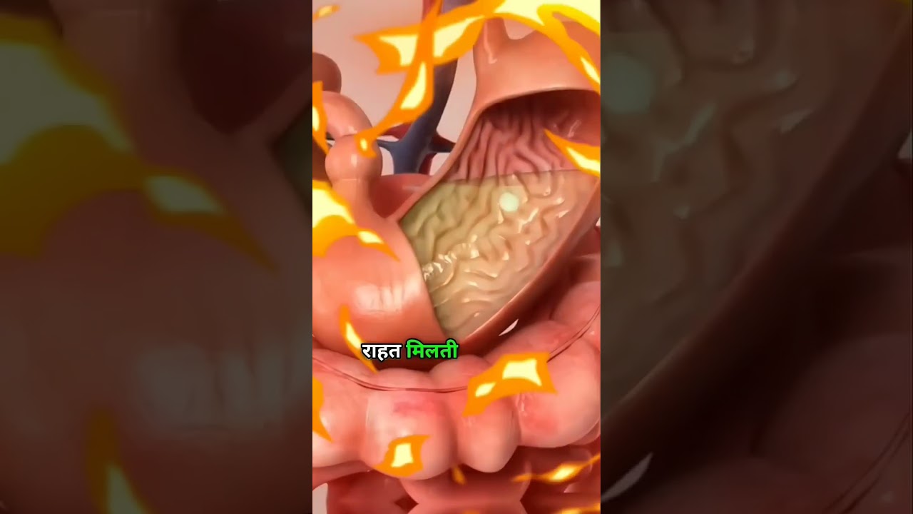 💯Dinner facts✔️✅