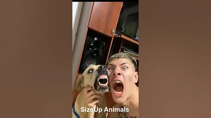 From Tiny to Terrifying – The Final Form Will Shock You