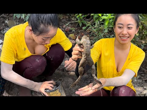 Video Đặc Lợp Ếch Mùa Nước Nổi, Trúng Mánh Hơn 3 Kí Ếch... - youtube