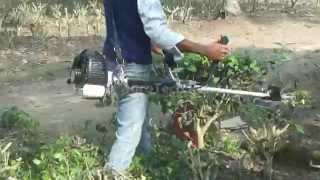 Tea Pruning Machine OCHIAI, JAPAN Tea Pruner Wealth