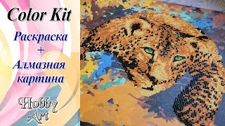 ColorKit / Раскраска+Алмазная картина / Готовая работа