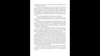 Ričard Bah 'Galeb Džonatan Livingston'1. dio