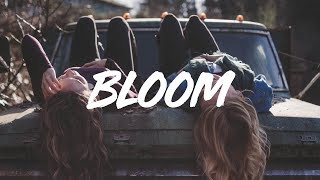 Download Lagu The Paper Kites | Bloom  (lyrics) MP3