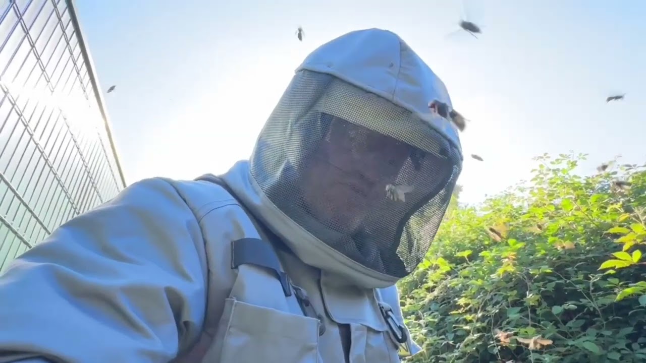 Chroniques d’un destructeur de nid de frelons épisodes inédit 