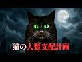 にゃんこ都市伝説