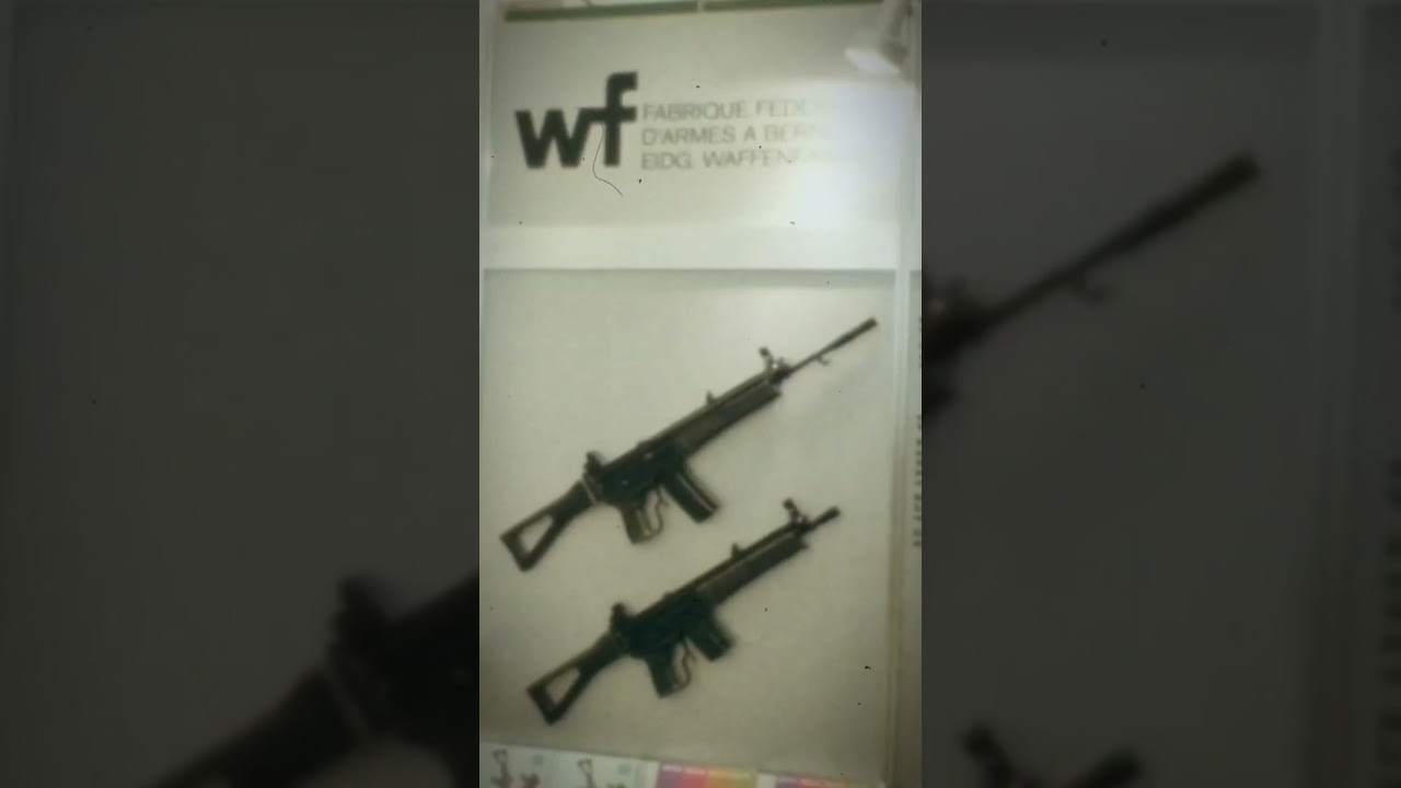 SIG SG-541 W✚F Bern E22 C42 AVA-INFO