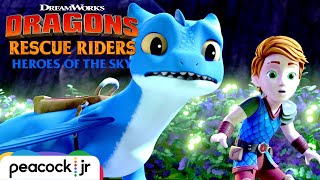Invisible Dragon Babies | DRAGONS RESCUE RIDERS: HEROES OF THE SKY