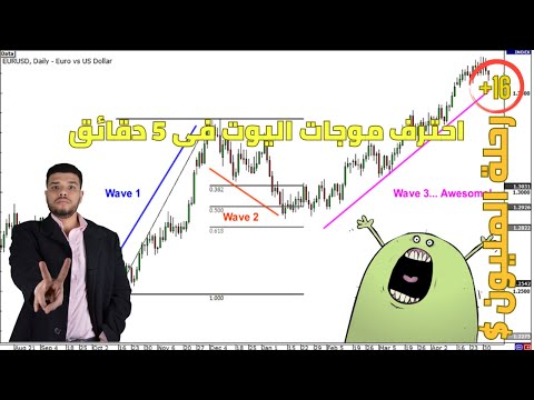 نظرية موجات اليوت في 5 دقائق وكيف نستخدم سلوك السعر وبنية السوق لتحديد استمرار أوانعكاس اتجاه الترند