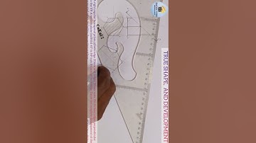 #True shape and #Development of a truncated hexagonal prism