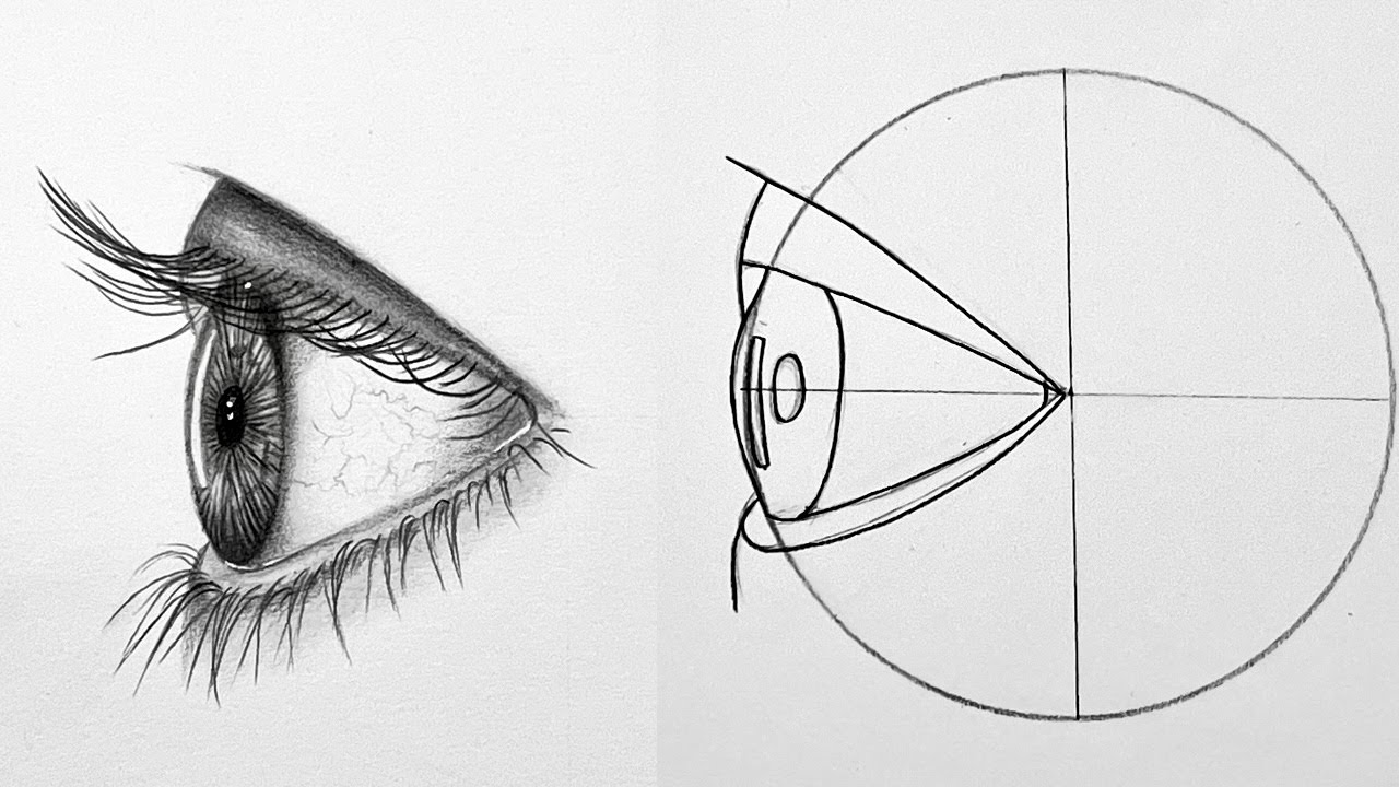 آموزش طراحی چشم نیمرخ با مداد :چگونه چشم نیمرخ بکشیم : آموزش نقاشی سیاه قلم و طراحی