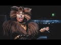 Cats the musical  the rum tum tugger highlight clip played by actor jack danson