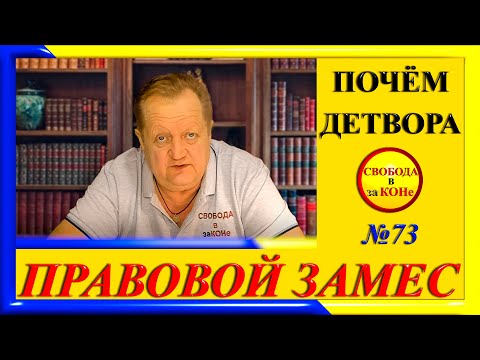 ПРАВОВОЙ ЗАМЕC N73. ПОЧЁМ ДЕТВОРА