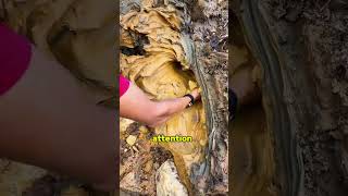 The Secret Sign of Gold Underground