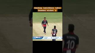 Sandeep lamichhane second wickets 🔥 Nepal 🇳🇵 vs Uae 🇦🇪 cricket match #cricket #shorts