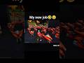 new job😂🤣 #freefire #capcutedit#ytshorts #bairan #nine #2083 #2017 #freefirelover #unfrezzmyaccount