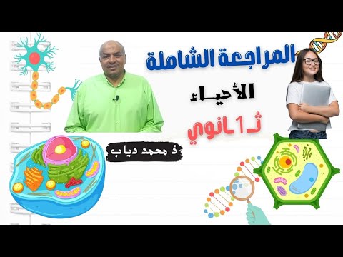 كبسولة المراجعة المراجعة الشاملة أولى ثانوي