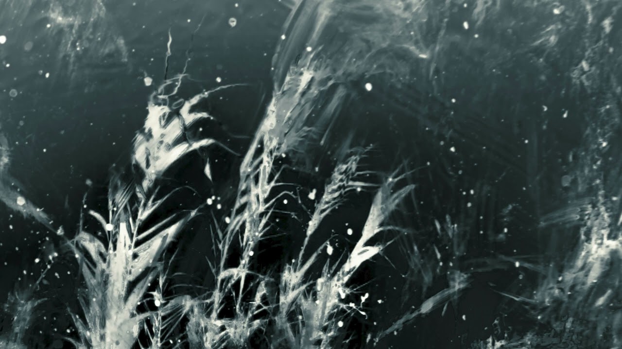 Liminal Reflections Mix | Ambient | Downtempo | Electronica | Experimental | Organic House adlı videoyu YouTube'da izle Liminal Reflections Mix | Ambient | Downtempo | Electronica | Experimental | Organic House adlı videoyu YouTube'da izle