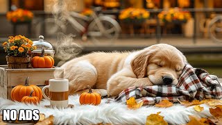 12 Hours Calming Dog Music🎵💖Relaxing Soothing Music for Dogs🐶🎵Anti Separation anxiety relief music