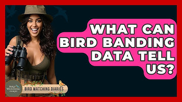 What Can Bird Banding Data Tell Us? - Bird Watching Diaries