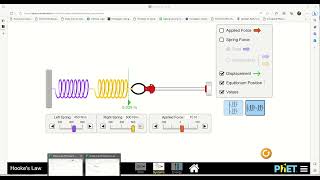 Online Lab #5 Hooke's Law video3