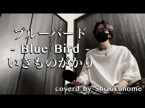 『ブルーバード - Blue Bird -』- いきものがかり  TVアニメ『NARUTO -ナルト- 疾風伝』OP (cover)