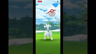 Hello 💯 Perfect Iv Reshiram! #pokémongo
