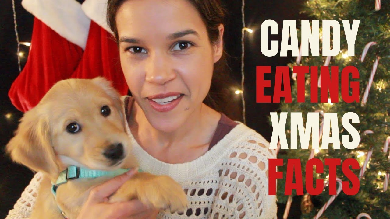 [ASMR] Calming Candy Cane Eating & Whispered Facts About Christmas 🎄