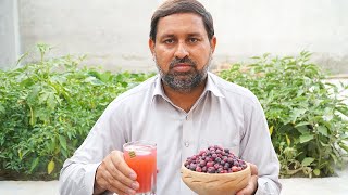 Falsay Ka Thanda Metha Sharbat| فالسے کا شربت  | How To Make Falsa Juice At Home | Hafiz Naveed