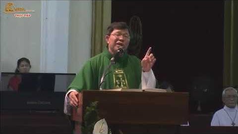 Giảng lễ Chúa Nhật X Thường Niên Mc 3_20-35 18g 30 – Lm JB Nguyễn Minh Phương CSsR 09/06/2018