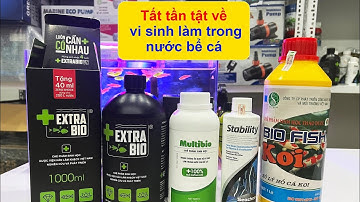 Dùng vi sinh gì cho bể cá cảnh, hồ cá Koi. Tất tần tật về vi sinh bể cá