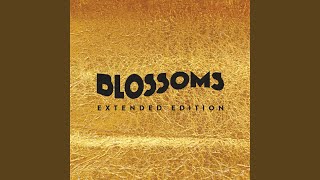 Video thumbnail of "Blossoms - Stormy"
