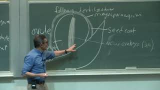 Exclusive Angiosperms Pt 1 - Biology 1B Lecture 4 Information