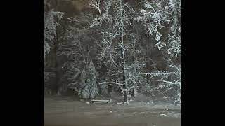 East coast snowstorm time lapse and fox - New Jersey nor'easter