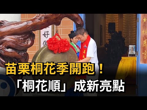 苗栗桐花季開跑!「桐花順」成新亮點-民視新聞