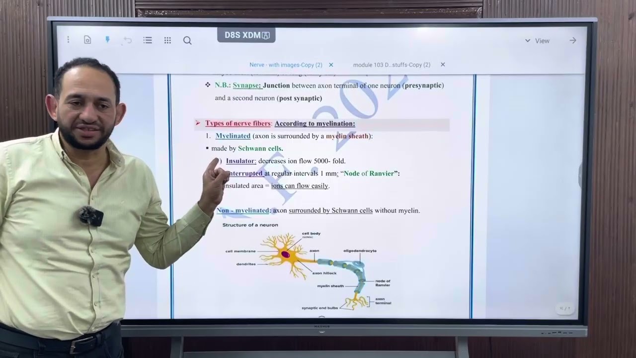 هتعمل ايه في الـ  Written مع أ.د/احمدفوزي اولي بشري 