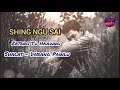 Shing ngu sai  kachin song   zatang tu hkawng  lyrics song 