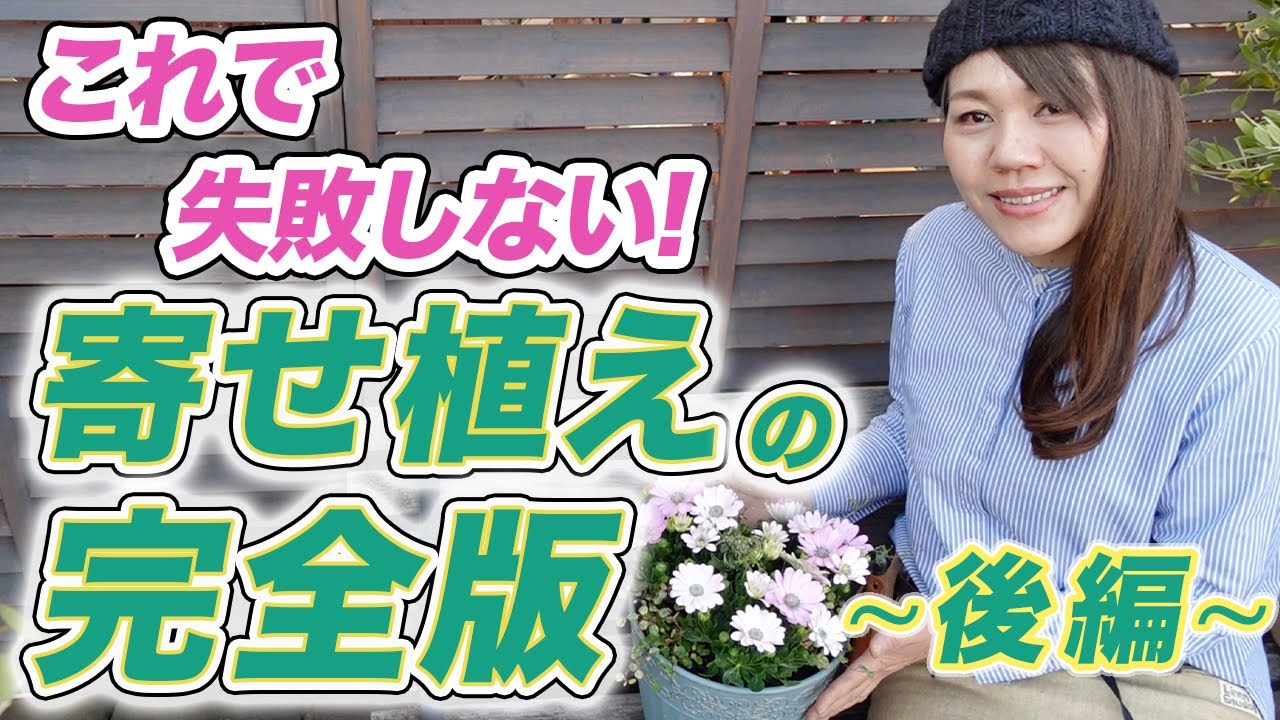 知らないと後悔!?】今更聞けない寄せ植えの初心者入門を徹底解説します