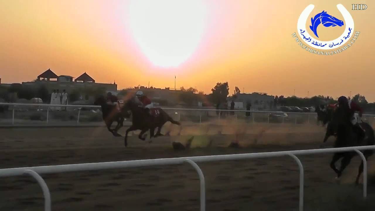 بطل سيارة المناطق الجواد ممدوح  لسطبل الحجر والمضيان