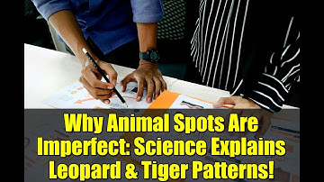 Why Animal Spots Are Imperfect: Science Explains Leopard & Tiger Patterns!