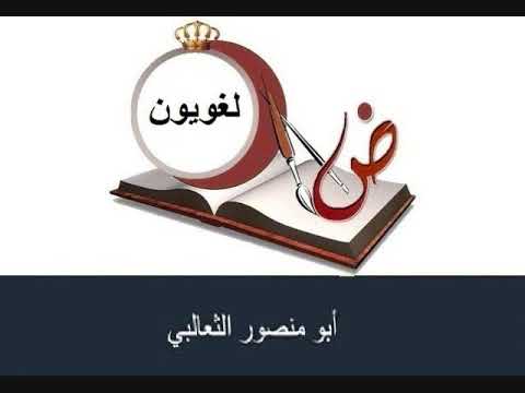 نبذة عن النحوي اللغوي الأديب أبى منصور الثعالبي وأهم كتبه