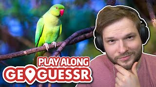 Guessing birds around the world - GeoGuessr PLAY-ALONG