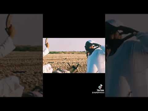 انا بحوم معاهو لو حام