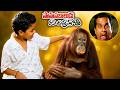 Sahasa Baaludu Vichitra Kothi Telugu Movie Scenes | Vijay Shanthi | Sarath Babu | iDream