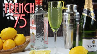 French 75 Cocktail by Christina Fogal 362 views 3 years ago 5 minutes, 45 seconds