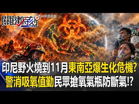Indonesia Wildfires Spark Southeast Asia "Biohazard"! Police and Firefighters "On Oxygen" While C...